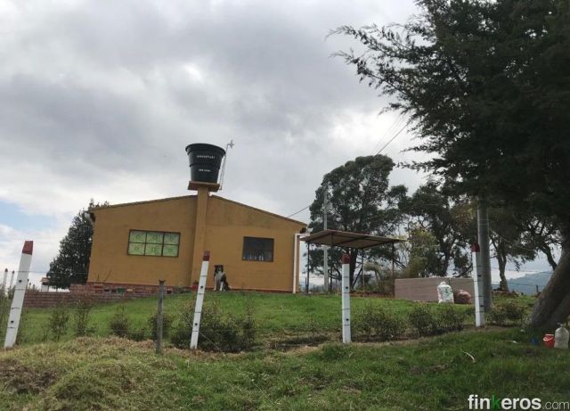 Venta Lotes y casa lote en villapinzon - vereda reatova - Finca en Villapinzón, Cundinamarca
